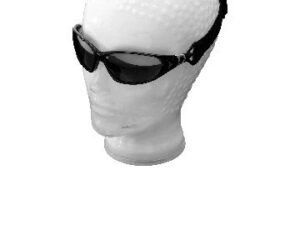 Biker Sunglasses Transparent