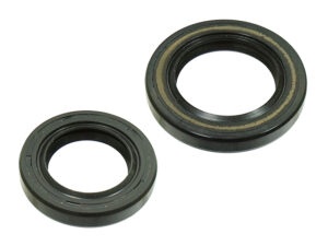 Sno-X Öljytiivistesarja Rotax