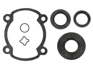 Sno-X Täydellinen tiivistesarja Rotax 250 FC