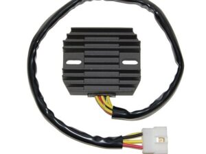 Electrosport Latauss./Tasasuunt. Kawasaki