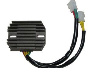 Electrosport Latauss./Tasasuunt. Triumph