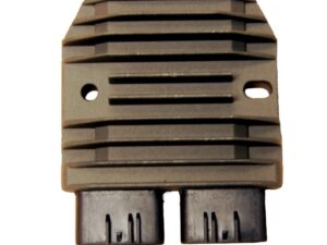 Electrosport Latauss./Tasasuunt. Kawasaki/Yamaha - Heavy Duty