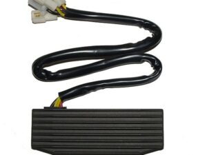 Electrosport Latauss./Tasasuunt. Suzuki