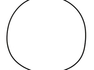 ProX Clutch Cover Gasket CRF250R '04-09