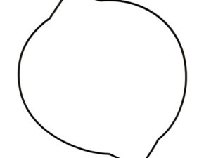 ProX Clutch Cover Gasket YZ250 '99-20