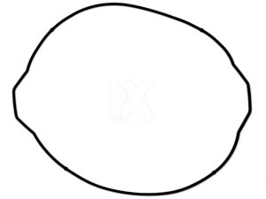 ProX Clutch Cover Gasket KTM250SX-F '05-12 + 250EXC-F '05-13