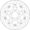 Brembo Serie Oro jarrulevy kelluva
