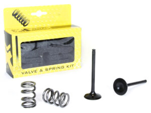 ProX Steel Exhaust Valve/Spring Kit LT-R450 '06-11