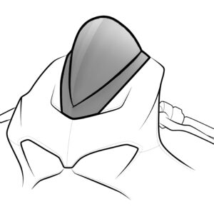 Puig Z-Racing Screen Kawasaki Ninja 1000Sx 20' C/Green