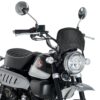 Puig Aluminium Front Plate For Honda Monkey 125 19' C/C