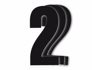 Blackbird kilpanumerot musta 3kpl/srj 13x7cm #2