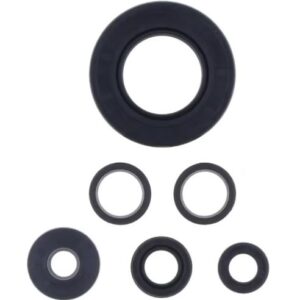 ATHENA Stefasarja motor Z 750 / ABS