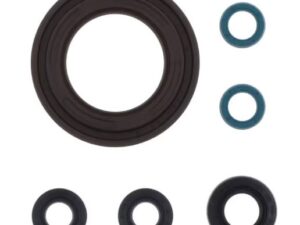 ATHENA Stefasarja motor TDM 900