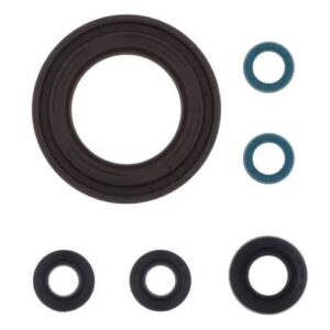 ATHENA Stefasarja motor TDM 900