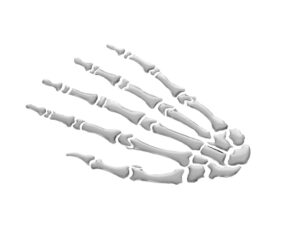 3-D Sticker Skeleton Hand
