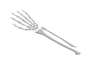 3-D Sticker Skeleton Arm