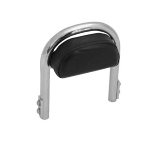 Sissy Bar Low Model Complete