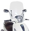 Puig Winds. T.S. Piaggio Beverly 300/300S 14-18'