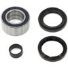 Bronco pyörälaakeri & öljytiivistesarja