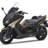 Puig Stickers Kit Tmax 530 15'-16' C/Gold-Black