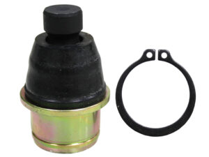 Bronco Pallonivel Alempi Can-Am