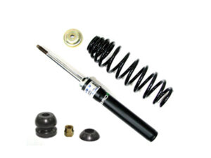 KAASUISKUNVAIMENTAJA BRONCO