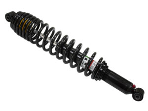 KAASUISKUNVAIMENTAJA BRONCO