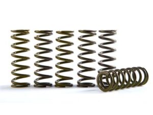 Hinson Clutch Springs HONDA, KTM250-505, ATV