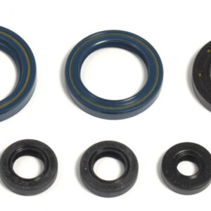 Athena Öljytiivistesarja, KTM EXC 125 95-97, SX 125 95-97