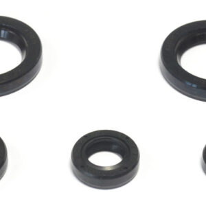 Athena Öljytiivistesarja, KTM Duke 125 11-/Duke 200 12-/RC 200 15-