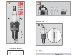 Champion Sytytystulppa RN12YC: Harley-Davidson, Indian