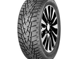 Doublestar DW01 195/65R-15 91T stud
