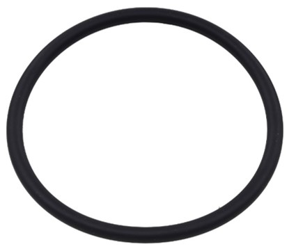 Sno-X Fuel pump seal, Ski-Doo/Lynx