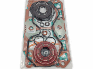 BRP 800 E-TEC TÄYDELLINEN MOOTTORIN TIIVISTESARJA 420893500